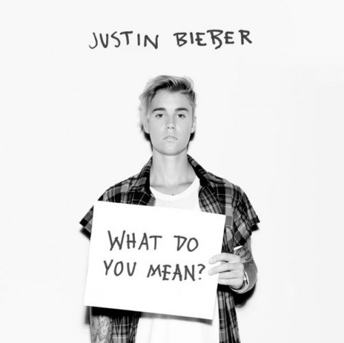 Justin Bieber What do you mean