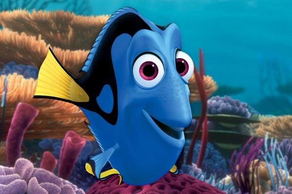 Dory 2