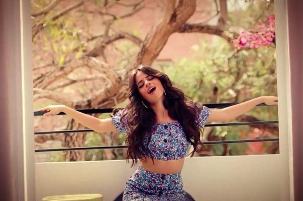 Pitbull Camila Cabello 3
