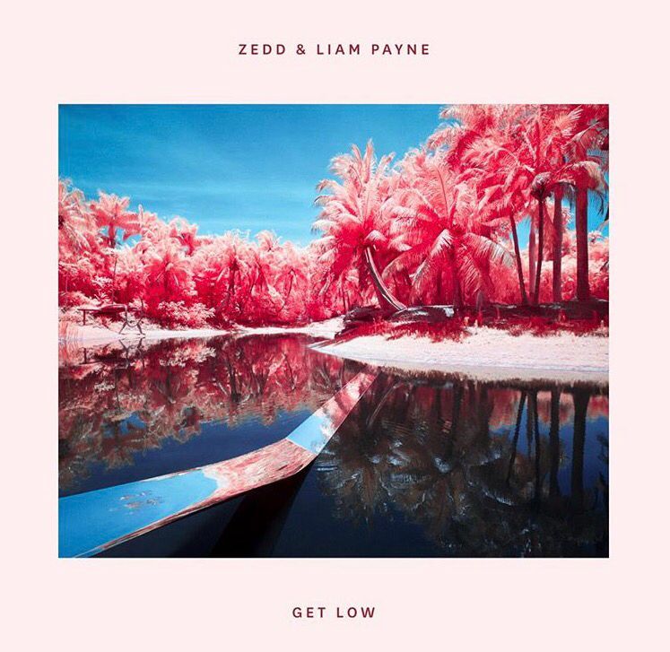 Zedd 9