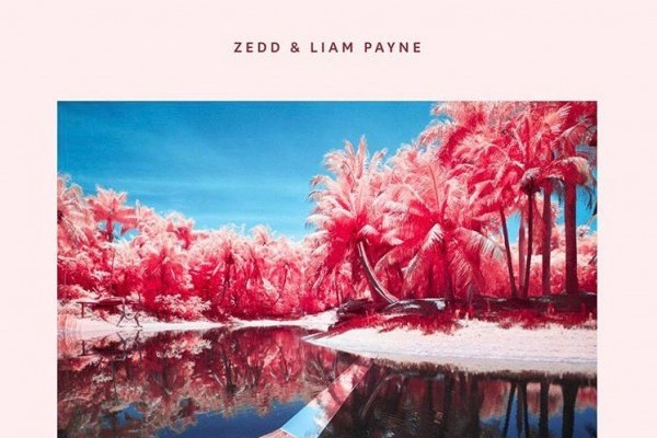 Zedd 9
