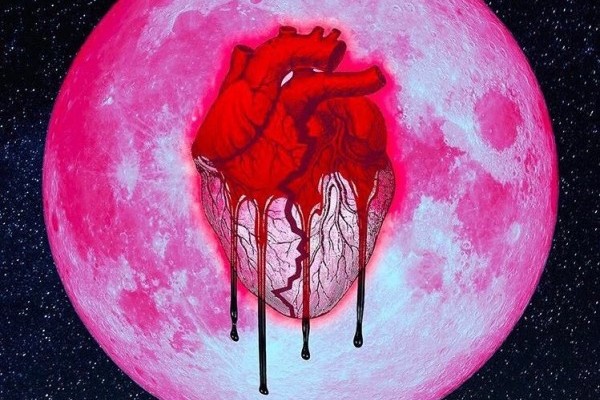 Chris Brown 7