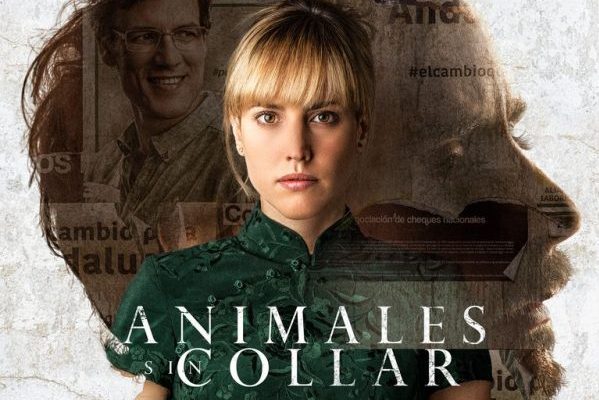 Animales Sin Collar 3